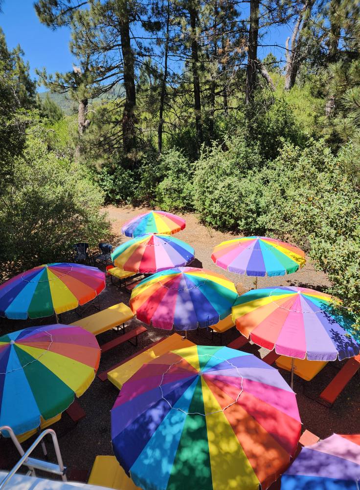 julianumbrella1
