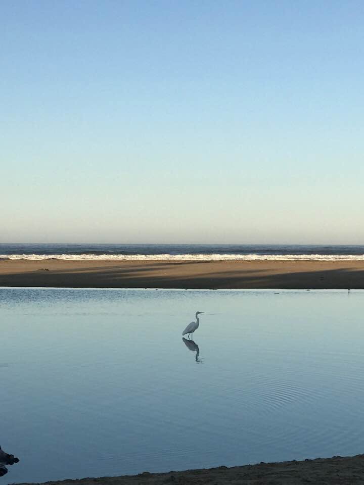 pismobeach2