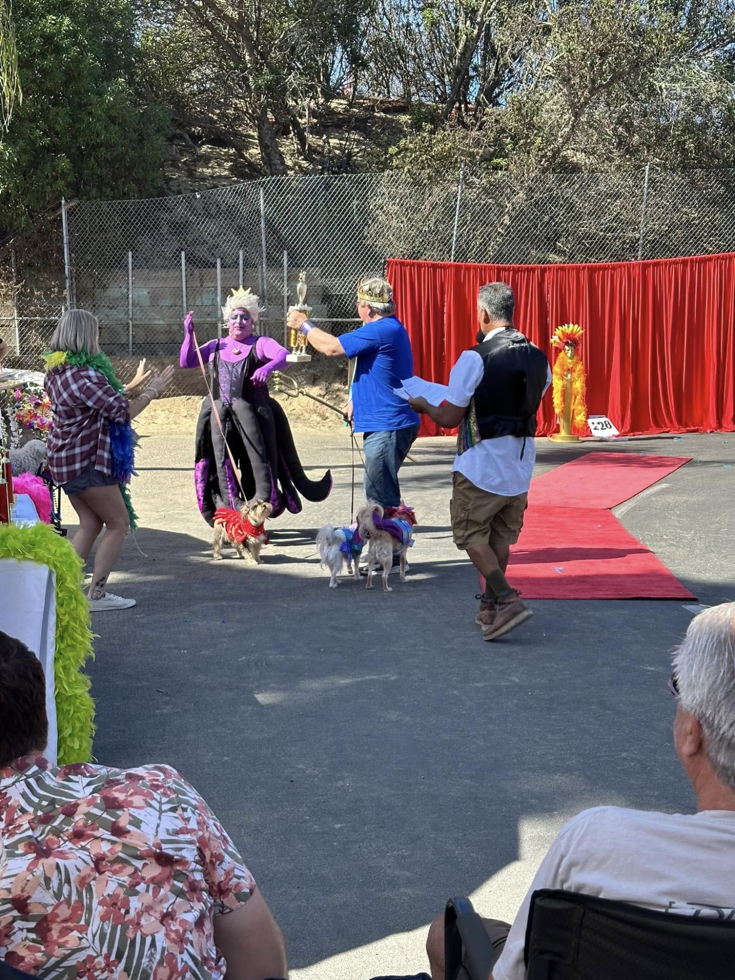pismodogshowmurmaid
