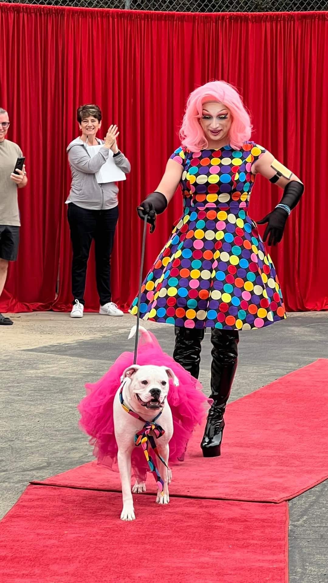 pismodogdrag