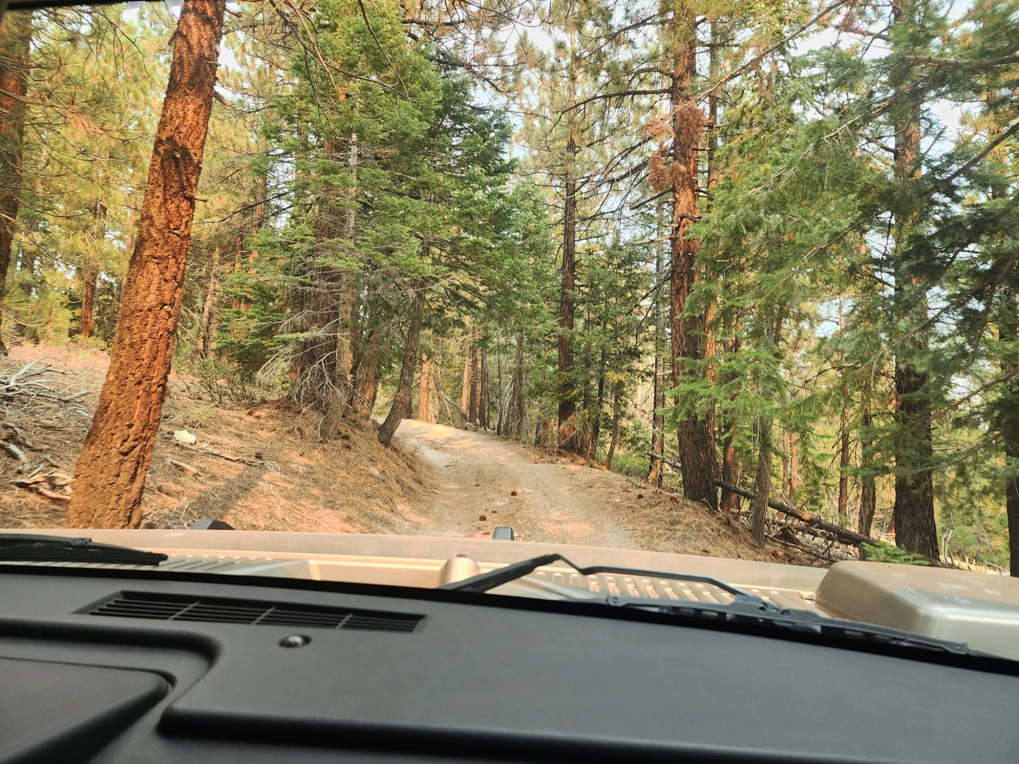 mammoth-4x4-rtip