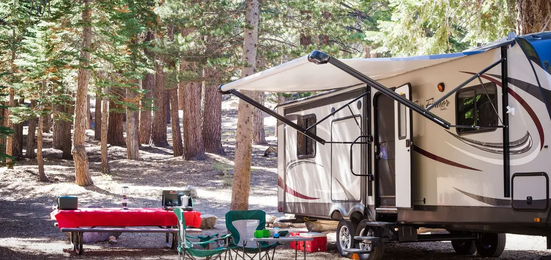 Camping in Mammoth mountains wooded forest